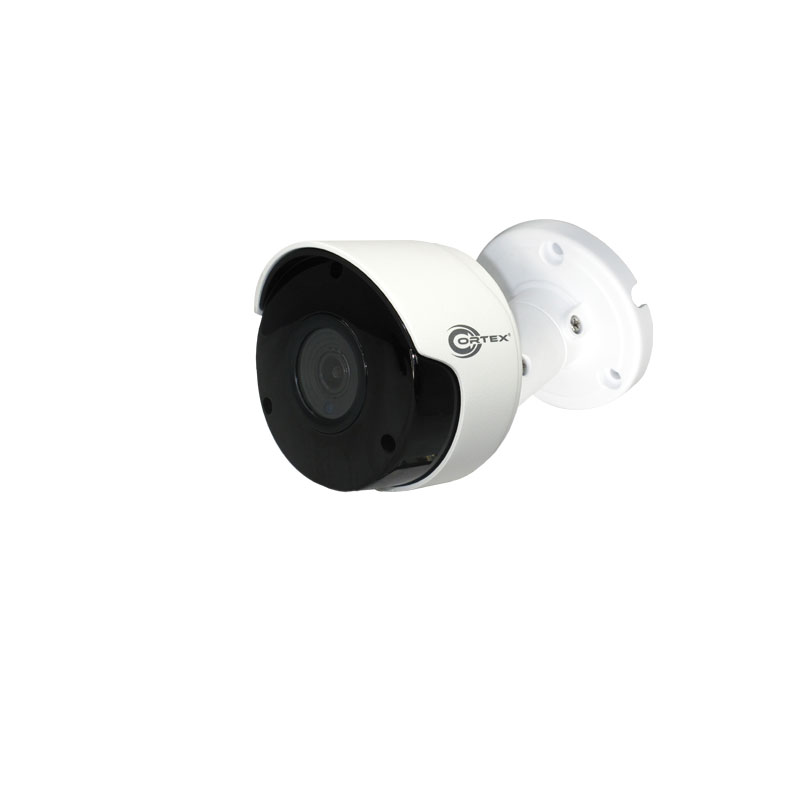 2MP Medallion network camera with 1920(H)×1080(V) resolution